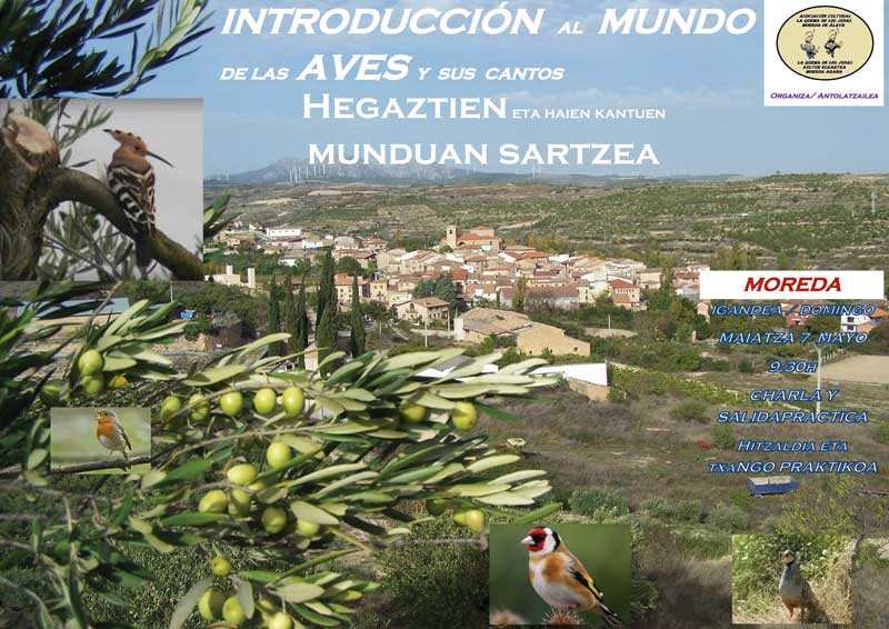 CARTEL-PAJAROS-2