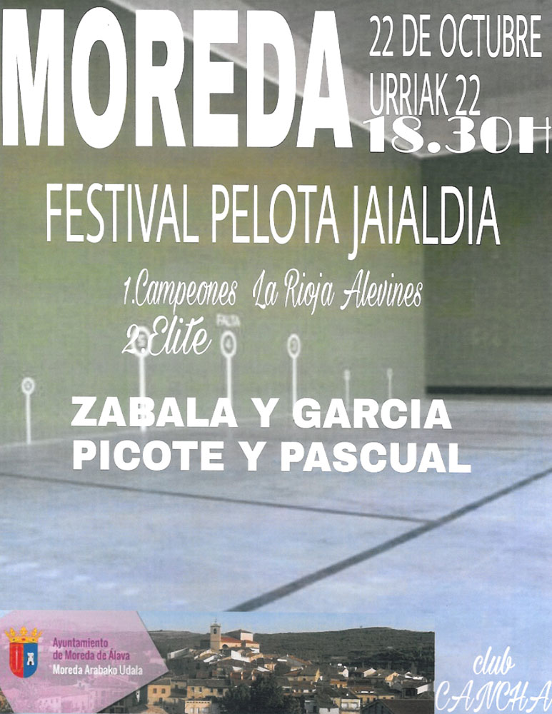 Cartel-pelota-1