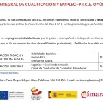 plan-integral-cualificacion-empleo-pice-oion